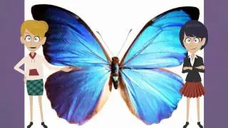 Interesting Music Video Book For Kids About Butterflies