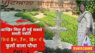 Patiala shahi nursery||  sabse saste plants || flowerplants || Part - 1