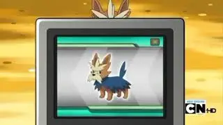 Lillipup,Herdier & Stoutland Pok&eacute;dex Entry