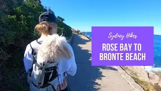Sydney lock down walks episode 2 - Rose Bay to Bronte Beach