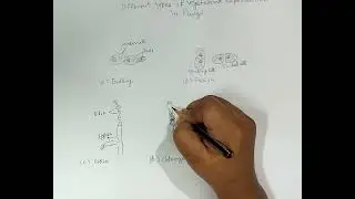 Different types of vegetative reproduction in Fungi / Diagram of vegetative reproduction in fungi