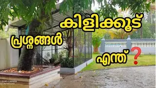 ഭംഗിയോടെയും സിമ്പിളായും കുറ്റങ്ങൾ ഇല്ലാതെയും കിളിക്കൂട് എങ്ങിനെ നിർമ്മിക്കാം