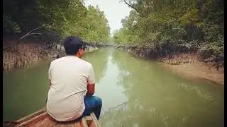 kochikhali Sundarban 01720477395