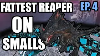 I found the FATTEST Reaper on SMALLS | Living Off the Loot | Ark Official Smalltribes