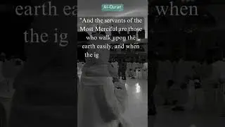 Inspirational Quranic Verses: The Importance of Humility &ndash; Surah Al-Furqan (25:63)
