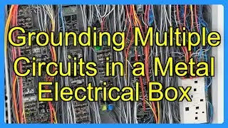 Grounding Multiple Circuits in a Metal Electrical Box