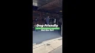A list of all the dog-friendly patios, restaurants, and breweries in the Treasure Valley!