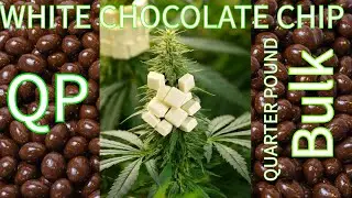 Thca kings white chocolate chip review