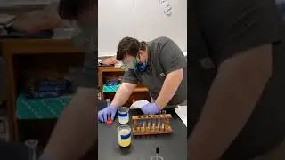 Egg digestion lab