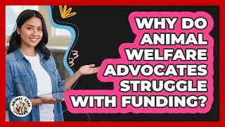 Why Do Animal Welfare Advocates Struggle With Funding? - Animal Care Jobs