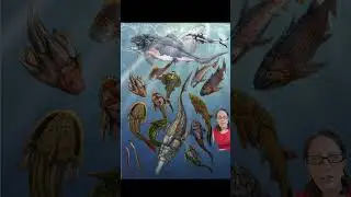 Devonian Etymology #scienceeducation#scienceterms #geology #paleontology #devonian