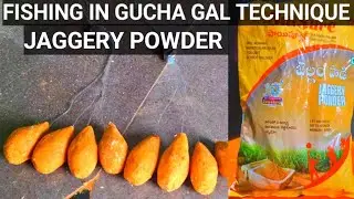 FISHING IN TECHNIQUE GUCHA GAL | HOOK FISHING ROHU BAIT | FR FISHING VIDEOS | JAGGRY POWDER