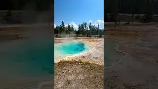 Silex Spring | Lower Basin || Yellowstone National Park