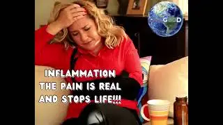 Factor4 - Advanced Inflammation Management