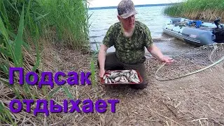 Плотва на поплавок вдх.  Рудня. 1 часть