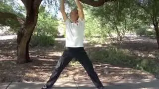 8 Simple Movements of Qigong for Beginners by Jake Mace