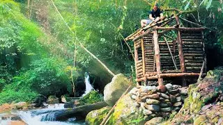 I Built a Jungle Hut with Wooden Walls and You Won't Believe What Happened