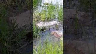 Live Water Hill Country Ranch for Sale! | TX Real Estate