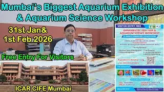 🚨 Don’t Miss This! India’s Most Exciting Aquarium Fish Exhibition | Fish Fair & Competitions 🐟