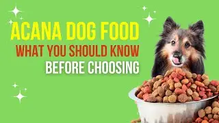 ACANA Dog Food: What You Should Know Before Choosing