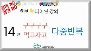 초보 파이썬 기초 강의 #14 먹고자고(다중반복문) 코딩 강좌 인강