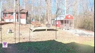 Wild Grace Sanctuary Live Stream