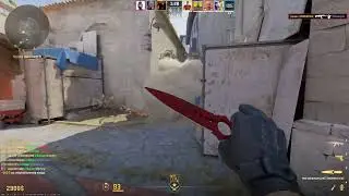 Japson ACE #2