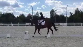 Emilia i Absolwent   P1   Bobrowy Staw 12 06 2016
