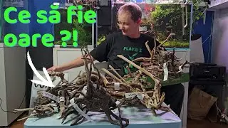 Visul unui AQUASCAPER, hardscape diferit de la WIO acum disponibil. P1 lemnul.