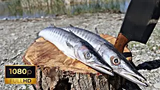 Epic Fried fish with breadcrumb and spices - ASMR bigeye barracuda cooking