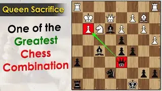 One of the Greatest Chess Combinations || Segal vs Fox 1900