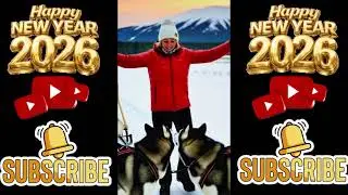 Best Rescue & Happy Dog Moments 2025  | Wholesome #compilation