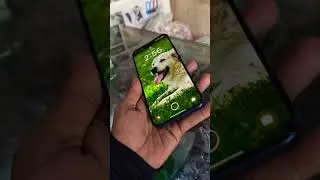 Oppo Reno 15C first look 😱 Powerful & stylish! #shortsvideo #opporeno15series