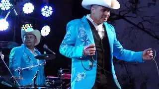 Los Horizontes de Cerro Negro - Mi Cariñito Adorado (En Vivo)