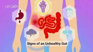 Gut Health Explained: How Your Microbiome Affects Digestion, Immunity, and Metabolism