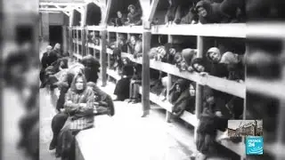 Retrospectiva, la vida en Auschwitz contada por 3 sobrevivientes