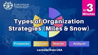 Types of Organization Strategies - (Miles & Snow) in 3 Minutes