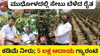 ಆಪಲ್‌ ಕೃಷಿ ಇದೀಗ ಬಹಳ ಸರಳ ಮನೆಯ ಹಿತ್ತಲಲ್ಲೂ ಬೆಳೆಸಬಹುದು ಸೇಬು |Kashmir Apple in Mudhol | Shrishail Teli