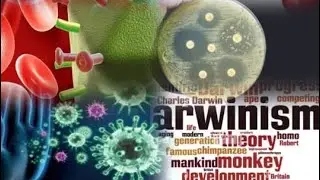 Clostridioides difficile