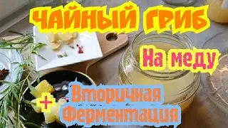 ЧАЙНЫЙ ГРИБ НА МЕДУ. Подробная  Инструкция  Для Новичков. Вторичная Ферментация Jun Kombucha