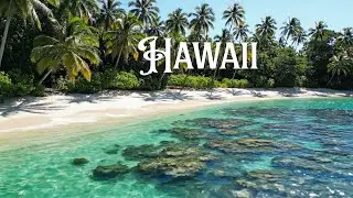 Breathtaking Hawaii Scenery  Tropical Paradise Ocean Waves  Lush Nature in 8K