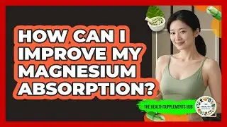 How Can I Improve My Magnesium Absorption? - The Health Supplement Hub