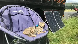 Wildkatt Weekend Waffle .. latest updates on my lorry life journey .. plans ahead
