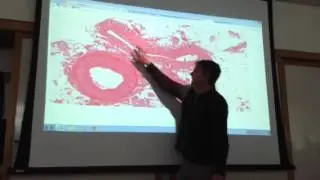 Microscope slides- Arteries & Veins