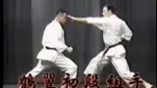 Asai Kata Kakioku Shodan
