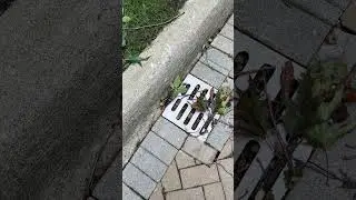 quick drain grate cleaning