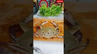 কাঁকড়া কাটার সহজ উপায়। How to cut crab #shorts #crabcleaning #crabcatch #crabs #crabgame