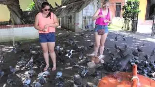 A Day at the PIdgeon Park in Viejo San Juan, Puerto Rico