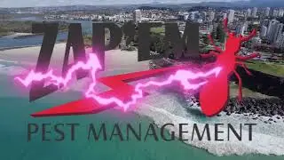 Tweed Heads Pest Control