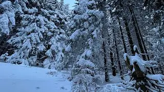 🏂 snowboarding, černý důl, free ride 